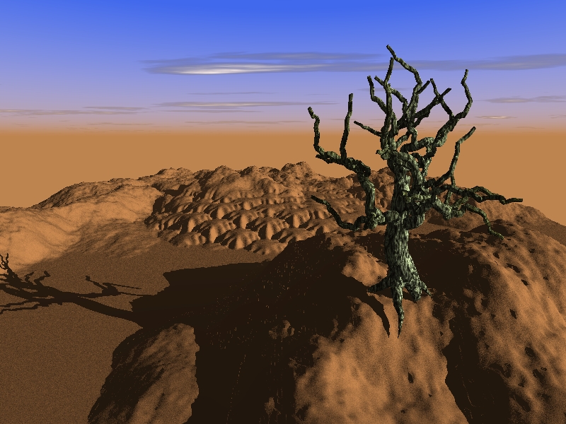  Desert_tree 